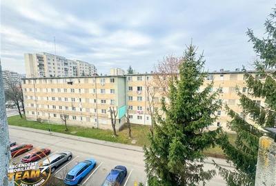 Camin primitor si luminos, 2 camere, terasa, facilitati, Simeria, Sfantu Gheorgh - 9