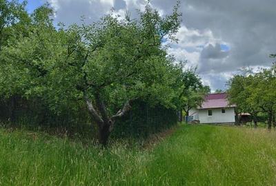 Grosi, 2 case , 7 ari teren - 3