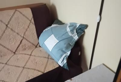 Primim în gazdă 1 elev/elevă capăt troleu micro 19-Galați
