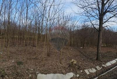 Teren 2,714mp de vanzare -  Strada Gura Vaii / Bujoreni - 2