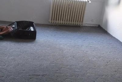 Apartament cu 2 camere decomandat în Titan - 5