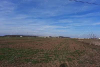 Teren de 18000 mp, în Ciorogârla - 5