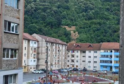 Garsonieră nedecomandată în Băile Herculane - 10