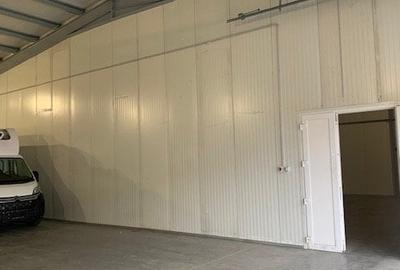 ZONA INDUSTRIALA hale de inchiriat diferite suprafete 5E/mp +TVA - 4