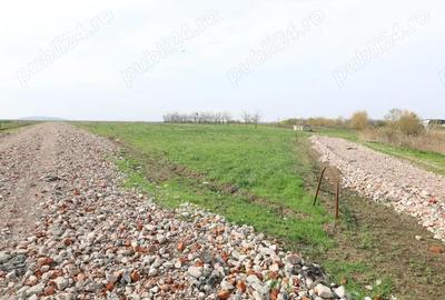 Terenuri de vanzare langa lac 368 mp in Berceni-Vidra Ilfov, comision 0 - 2