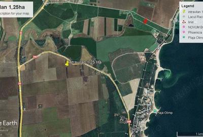 Teren de 12500 mp, în 23 August - 2