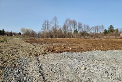 Proiect dezvoltare COMPLEX turistic Valea Avrigului - 5