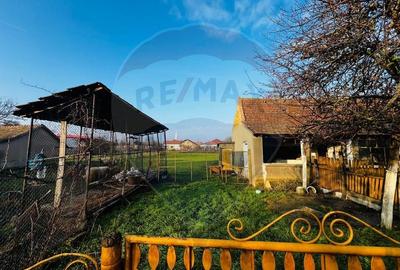 Casă cu 4 camere cu Teren 2144 Mp în Șeitin - 4