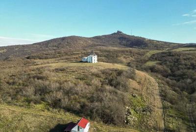 Castel cu vedere panoramica pe dealul ?iriei - 3