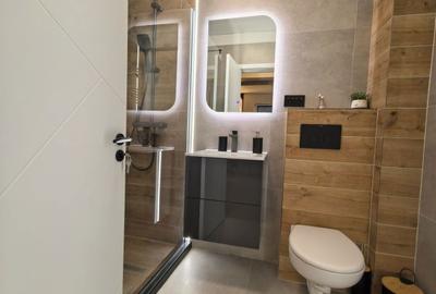 Apartament cu 2 camere decomandat în Roșu - 4