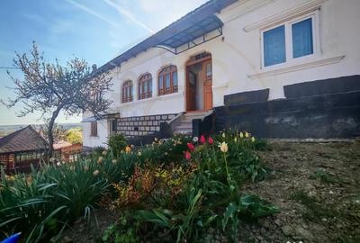 Casă cu 3 camere cu Teren 3233 Mp în Valea Rizii - 17