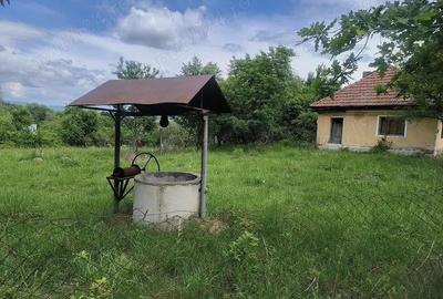 Teren intravilan 7759 mp in Curtea de Arges zona Noaptes - 7