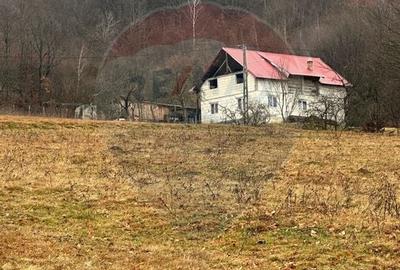 Teren Construcții intravilan de 7135 mp, în Negreni - 5