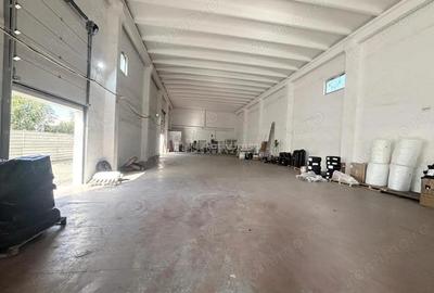 Hala 700 mp - teren 3998 mp - Nufarul - 14