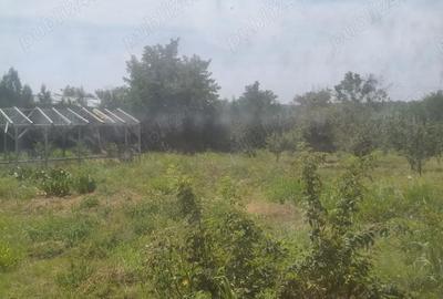 Casă cu 5 camere în Valea Călugărească - 19