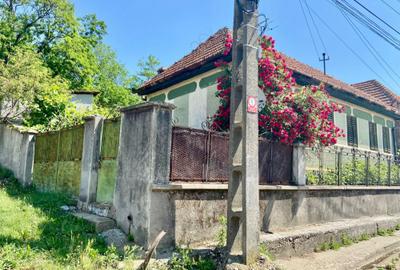 Casă cu 3 camere în Pișchinți - 6