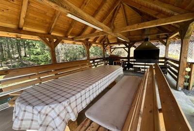 Casa de vacanta de vanzare in Lapusna - 10