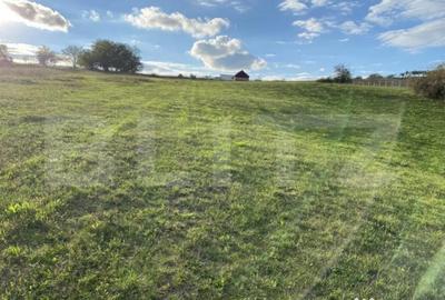 Teren de 27000 mp, în Aghireș - 3