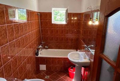 Casa individuala, regim inaltime P+M, teren 1219 mp Remetea Mare, pret 215000 euro - 5