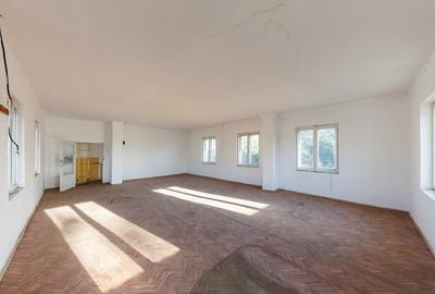 Spațiu comercial, de 131.33000183106 mp, în Orțișoara - 8