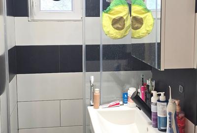 Apartament 3 camere RENOVAT, mobilat, utilat, Alexandru - accept CREDIT - 13