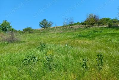 Teren de 1900 mp, în Cuza Vodă (Popricani) - 6