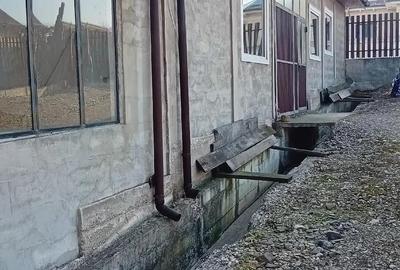 Spațiu comercial, de 330 mp, în Târpești - 2