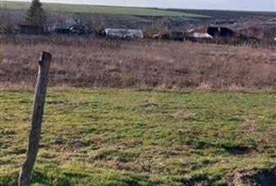 Teren TOP 1400mp /18ml stradal  Vanatori (Odaia Manolache) - 3