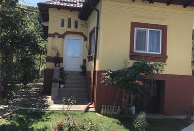 Casă cu 3 camere în Dobrogostea - 3