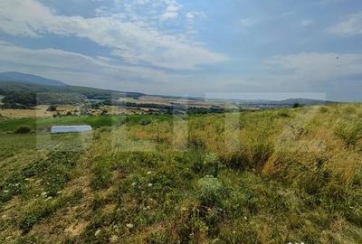 Teren de 6500 mp, în Central - 5
