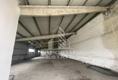 Hala 225 mp, ideala depozitare sau productie, Calea Sagului Hala 225 mp, ideala depozitare sau productie, Calea Sagului - 3