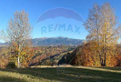 Oportunitate de investiție ! Teren de vis în Pestera - 125.370 mp - 22