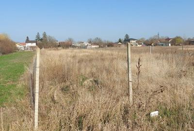 Teren intravilan Buftea Flamanzeni - 3