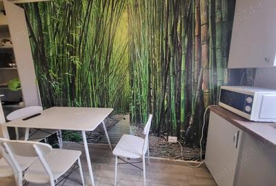 Inchiriez apartament 2 camere,str. Safirului,Bragadiru - 4