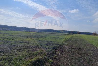 Teren Construcții intravilan de 800 mp, în Ghermănești - 8