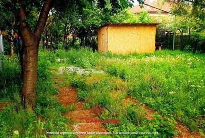 Teren in Campina--200mp-- 32.000e - 4