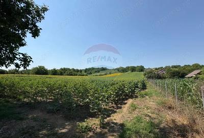 Teren 9,012mp Saucesti / Strada Cire?ului - 4