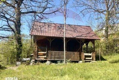 Casă cu 3 camere cu Teren 6039 Mp în Desești - 9