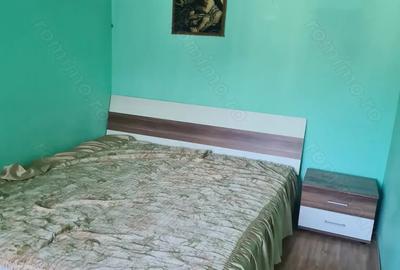 Apartament cu doua camere Brezoi - 3