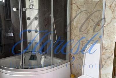 Casă cu 4 camere în Dâmburile - 14