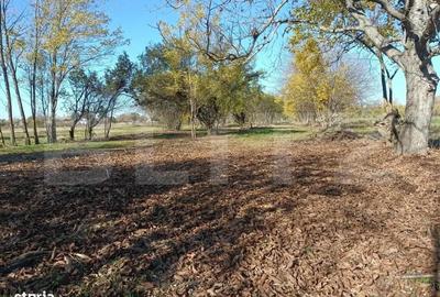 OPORTUNITATE TEREN 0,9 Ha intravilan constructii+extravilan - 3