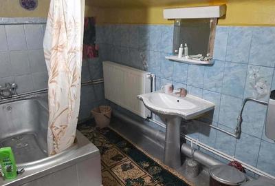Casă cu Teren 3000 Mp în Căscioarele - 4