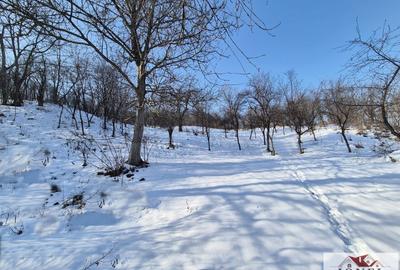 Teren Construcții intravilan de 1492 mp, în Săliștea - 2