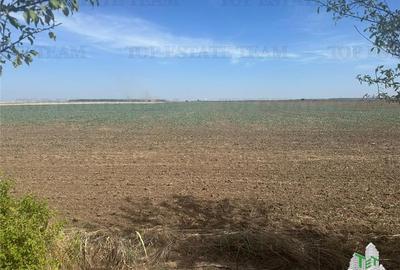 Teren Construcții intravilan de 5000 mp, în Tineretului - 1