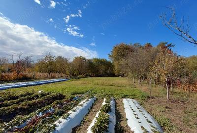 Casa de vanzare + gradina in sat Zagujeni - 4