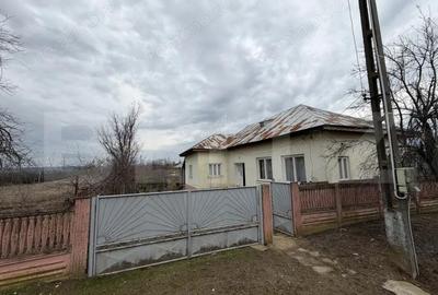 Casă cu Teren 4505 Mp în Central - 3