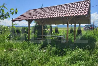 Pensiune moderna 2 margarete , statiunea Paltinis , Sibiu Pensiune moderna 2 margarete , statiunea Paltinis , Sibiu - 9