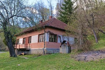 Domeniu de 7 ha in Apuseni - Criscior, Hunedoara - 3