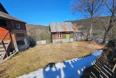 Teren în Galbena - 8