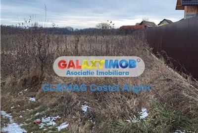 Teren intravilan de 3500 mp, în Smeura - 3